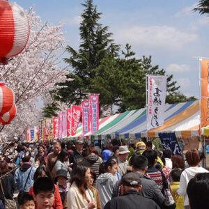 第33回しんまち桜まつり【西毛】