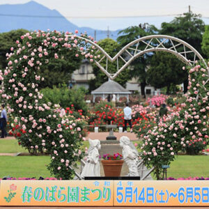 春のばら園まつり【中毛】