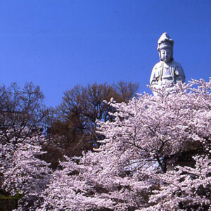 たかさき春まつり【西毛】