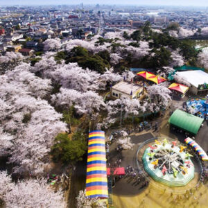 華蔵寺公園花まつり【中毛】