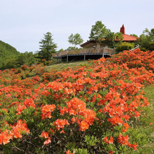 赤城山新緑＆つつじWEEK【中毛】