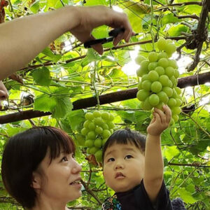 果実の里　原田農園【北毛】